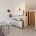 Vesna & Zan Apartment