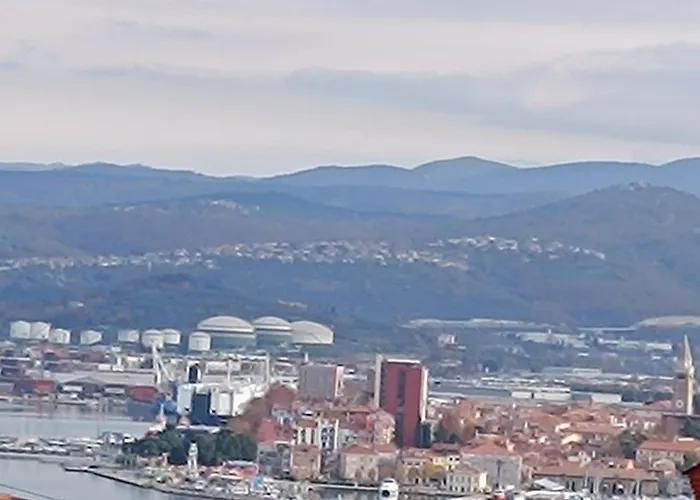 Διαμέρισμα Vesna & Zan *