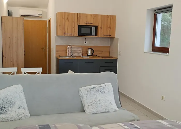 Vesna & Zan Διαμέρισμα *